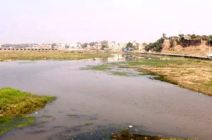 नदियों का जाल