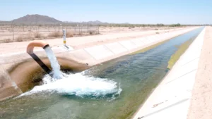 कृषि और आर्थिक महत्व