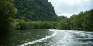 दक्षिण भारत की कावेरी नदी