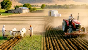 निमाड़ क्षेत्र में रबी की फसल गेहूं-चना 1 पारंपरिक खेती